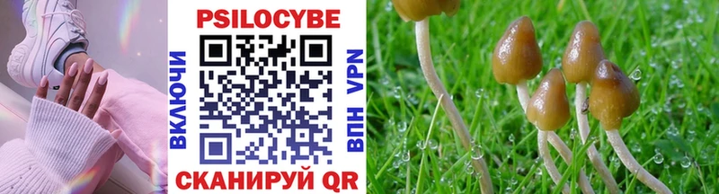 Псилоцибиновые грибы Psilocybe omg ссылки Вилюйск